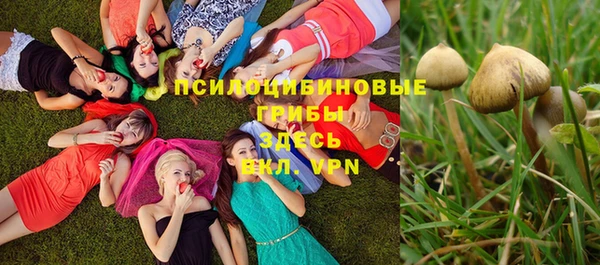 прущая мука Киренск